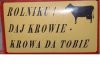 Jak krowie na rowie