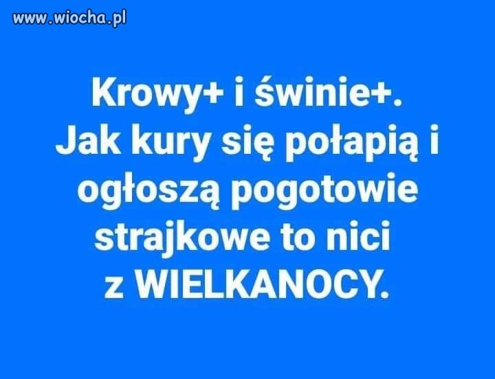 Wielkanoc tuż tuż