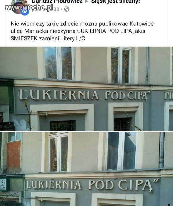 Dowcipnisie