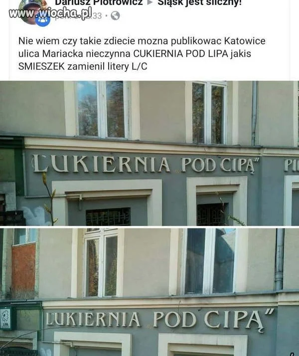 Dowcipnisie