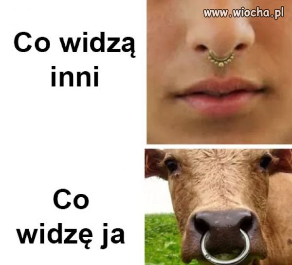 Jeden prosty trik