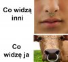 Jeden prosty trik