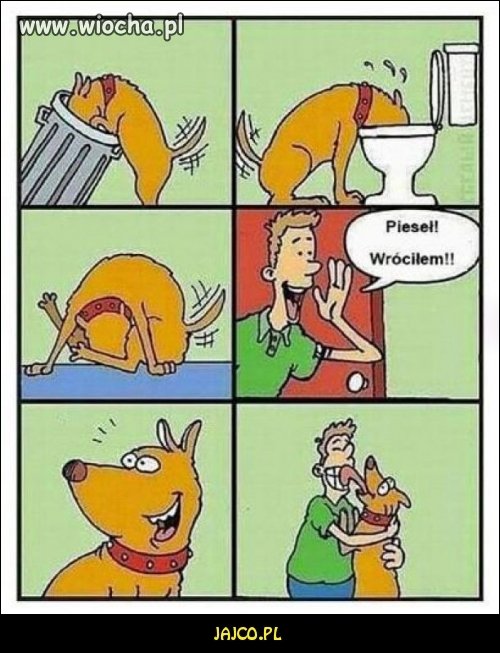 Całowanie psa