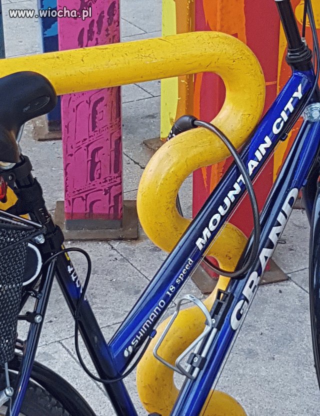 Cyklista "geniusz"
