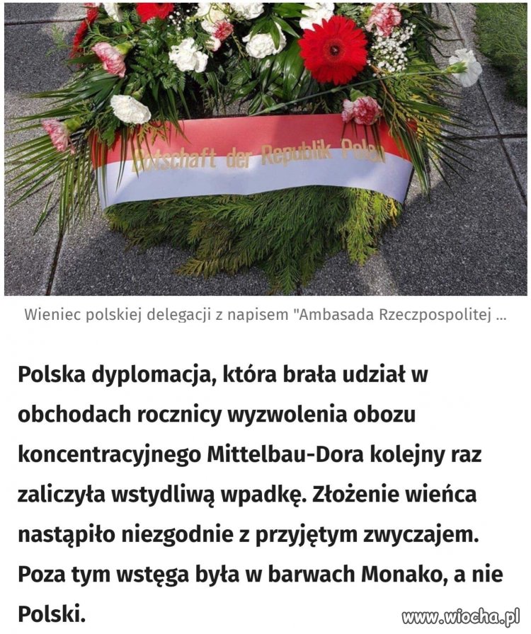 PiS-owskie geniusze