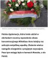PiS-owskie geniusze