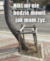 Tyle w temacie