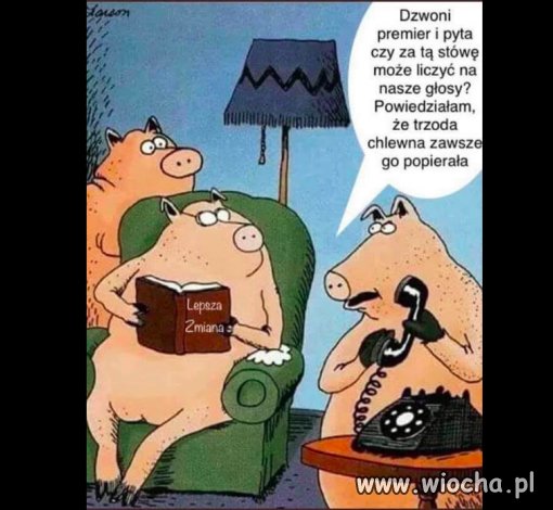 Trzoda chlewna