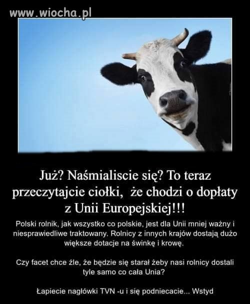 Wszystko ok tylko jest jedno ale...w 03.2019