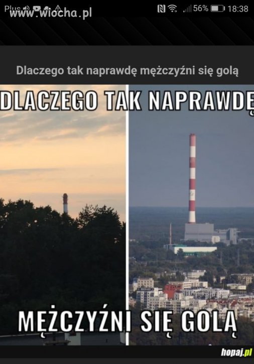 Bo tak... 