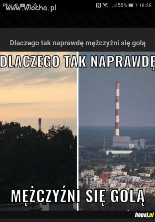 Bo tak... 