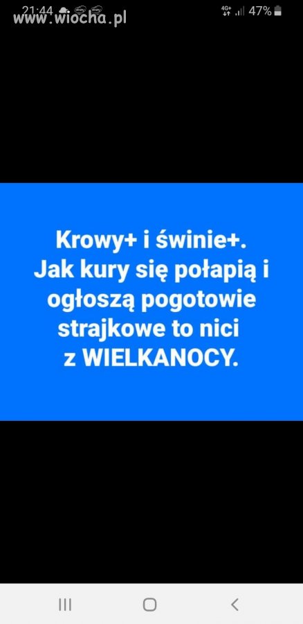 Co z tymi +