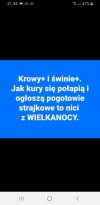 Co z tymi +
