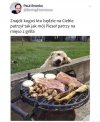 Prawdziwe