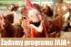 Już niedługo będzie nowy strajk
