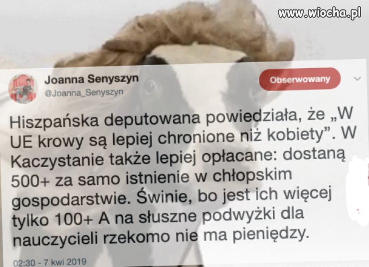 Nic dodać