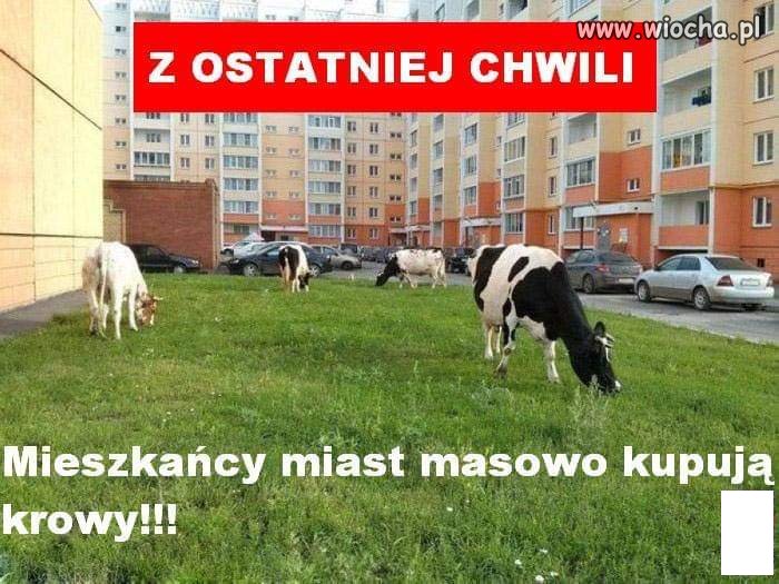 Z ostatniej chwili