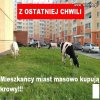 Z ostatniej chwili