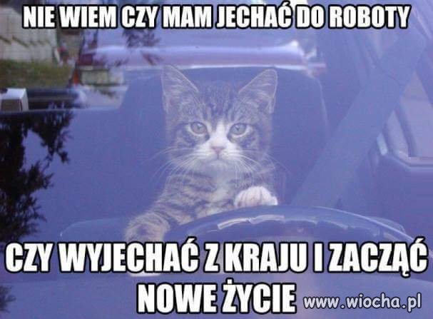 O To Jest Pytanie
