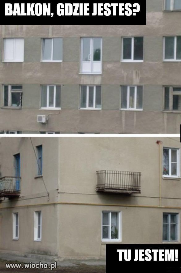 Miszczowie