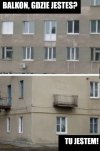 Miszczowie