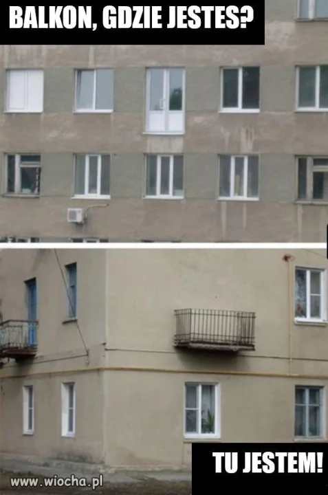Miszczowie