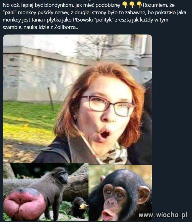 Wśród swoich 