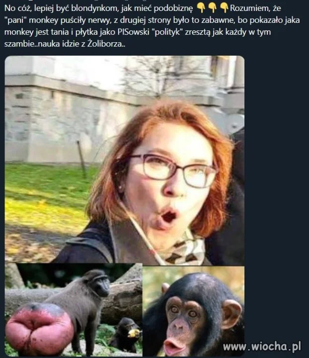 Wśród swoich 