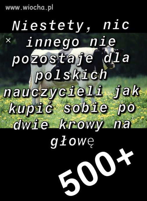 1000+ dla nauczycieli