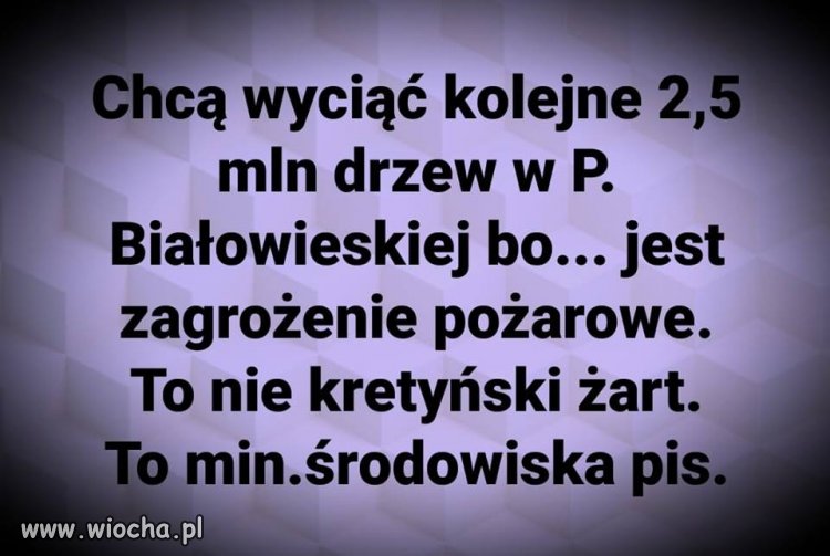 Czego te ..uje nie zrobią, żeby mieć kasę na ...