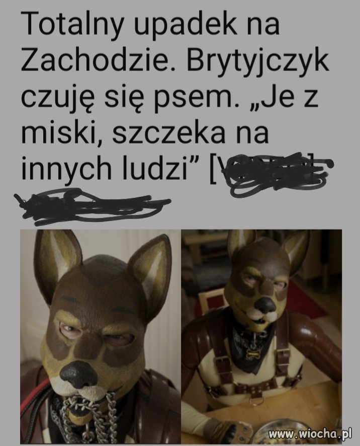 Angielski burek wygląda znajomo
