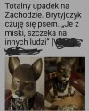 Angielski burek wygląda znajomo