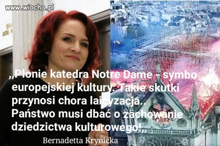 Oni są naprawdę zdrowo rąbnięci
