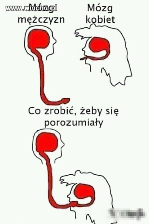 Coś w tym