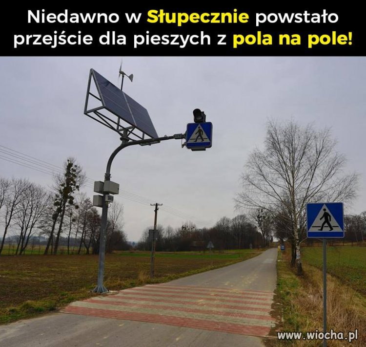 Polskie absurdy