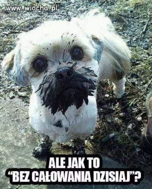 Coś innego niż polityka 