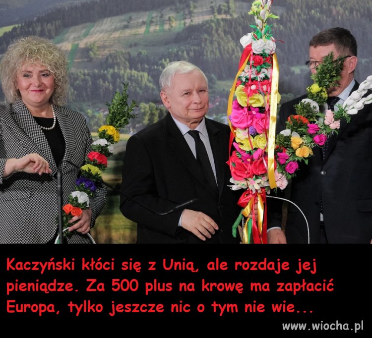 Taka prawda o pomyśle Kaczyńskiego...