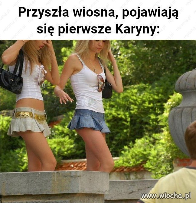 Pierwsze Karyny