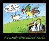Ale jaja