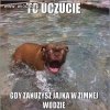 Ciepłe jajka