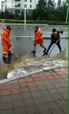 Dział czystości w akcji.