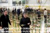 Tymczasem na egzaminach ósmoklasisty