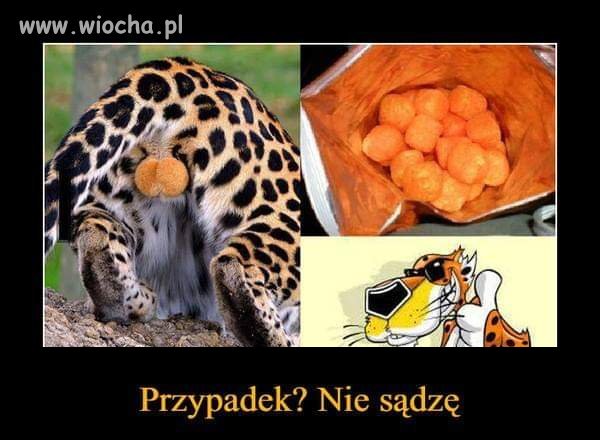 CZiperki 