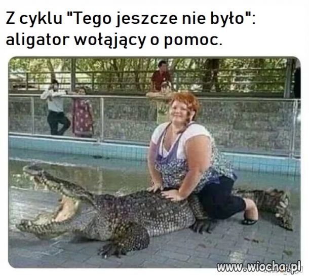 Biedne zwierzę
