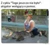Biedne zwierzę