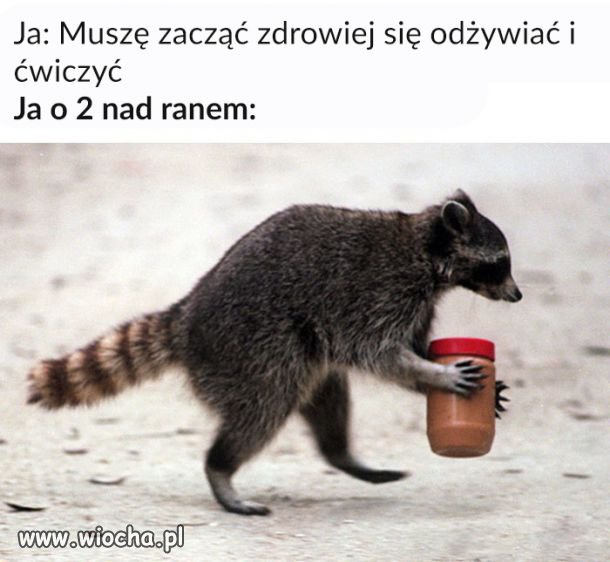 Moje postanowienia