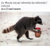 Moje postanowienia