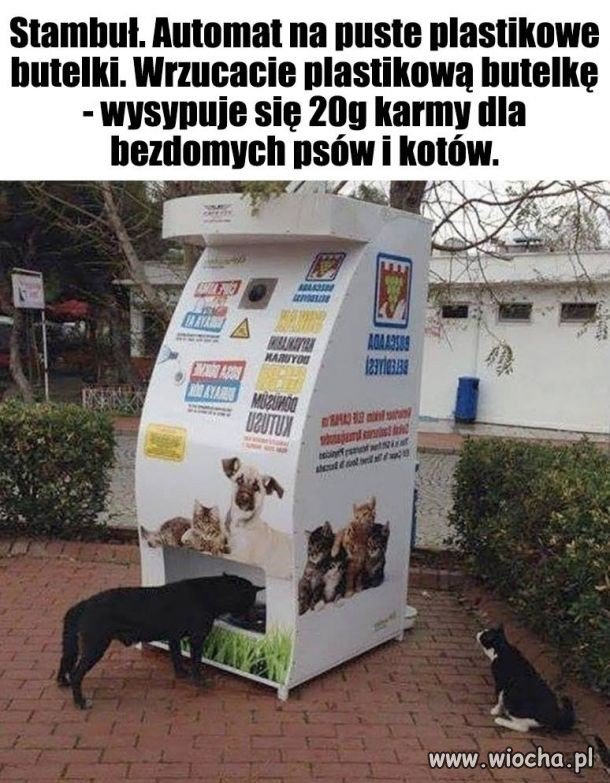 Fajny pomysł!