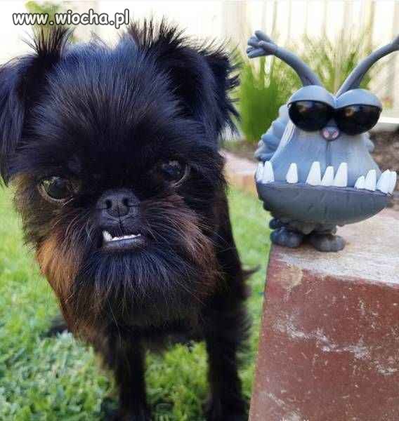 Uauuu...