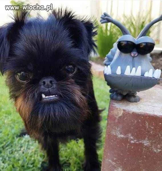 Uauuu...